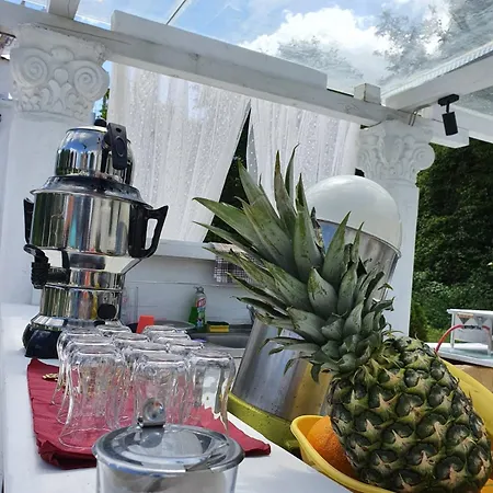 Center Belgrad Parc de vacanță *