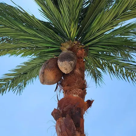 Center Belgrad Parc de vacanță *