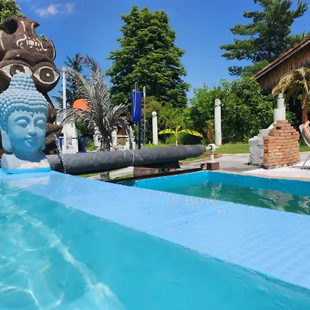 Center Belgrad * Brestovik