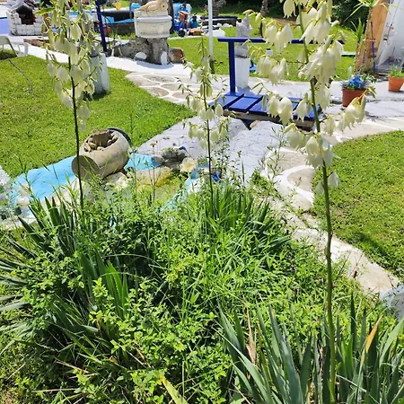 Center Belgrad Parc de vacanță Brestovik