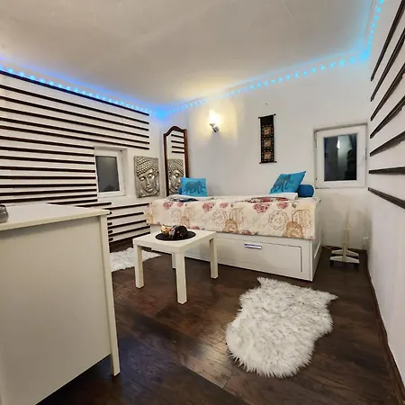 Center Belgrad Brestovik